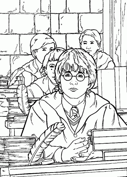 Harry Potter e amigos