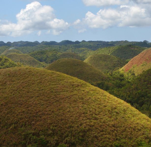 The Chocolate Hills