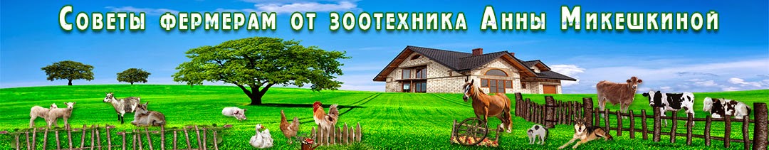 Советы фермерам от зоотехника Анны Микешкиной