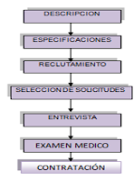 DIAGRAMA FLUJO RECLUTAMIENTO diagrama flujo reclutamiento: