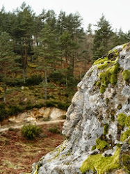 Escultura na Rocha, Cabreira