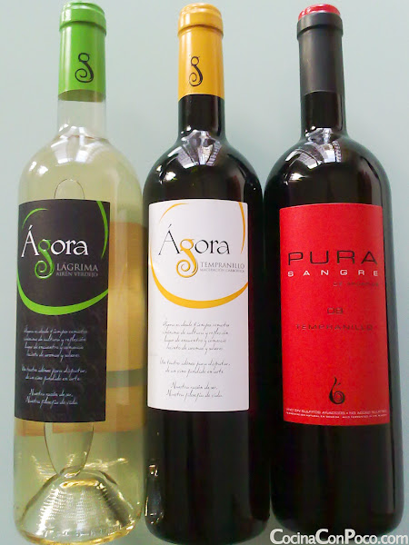 Bodegas Aruspide - Vinos de Castilla La Mancha Bodegas Aruspide - Vinos de Castilla La Mancha