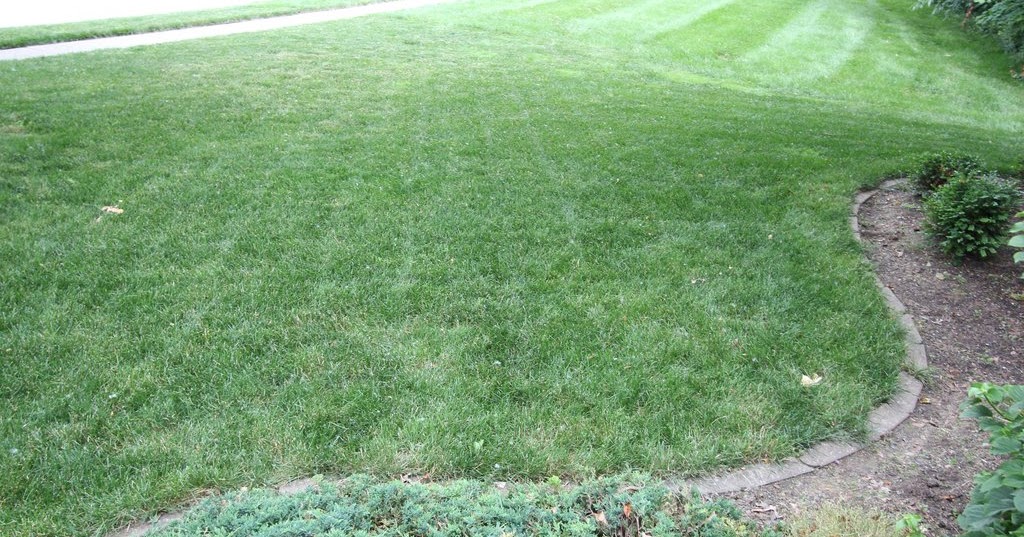 Adventures In Gardening: Front lawn update