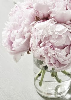 beautiful blooming white peony bouquet 