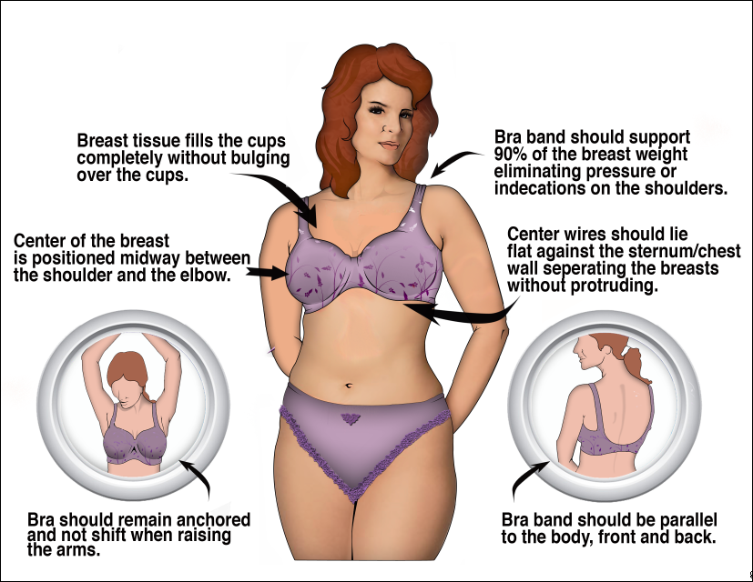 How To Select Bra Size