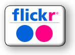 My Flickr