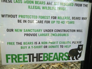 Bear rescue centre at Kuangsi Falls National Park.