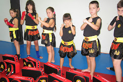 Sanda (Boxeo Chino) Infantil
