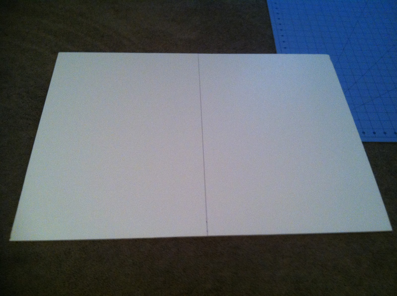 Domestic Divas in Training Foam Board & Fabric Wall Art