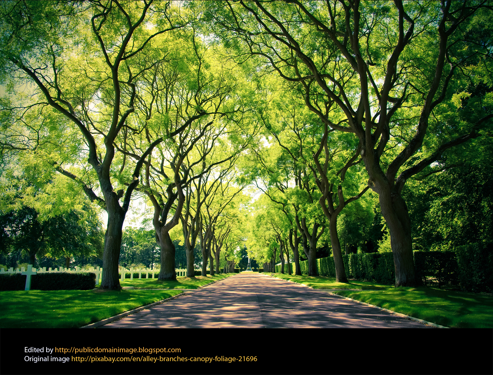 Public Domain Images Green Street