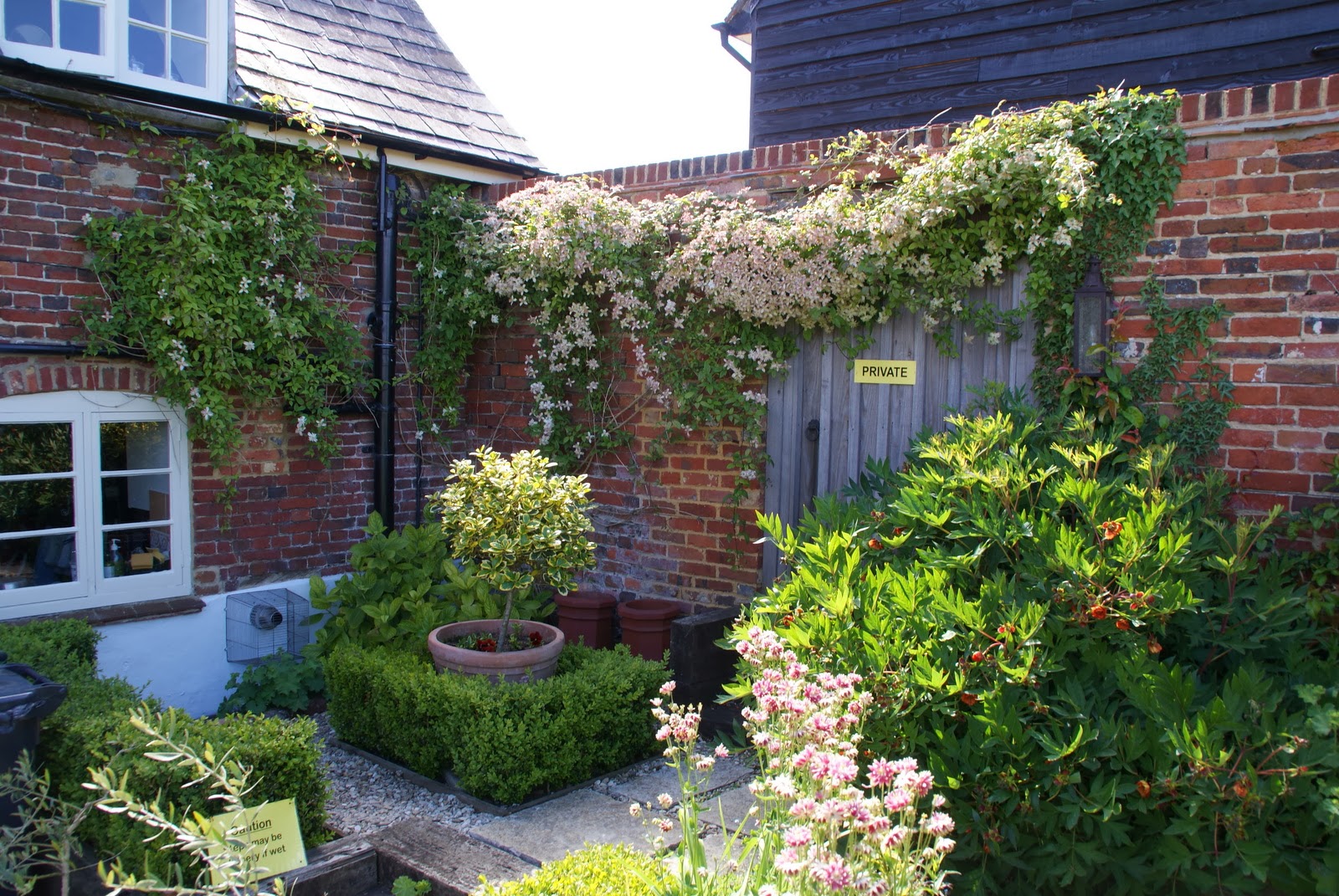 Organic Garden Dreams Old Down House, Horton Part I