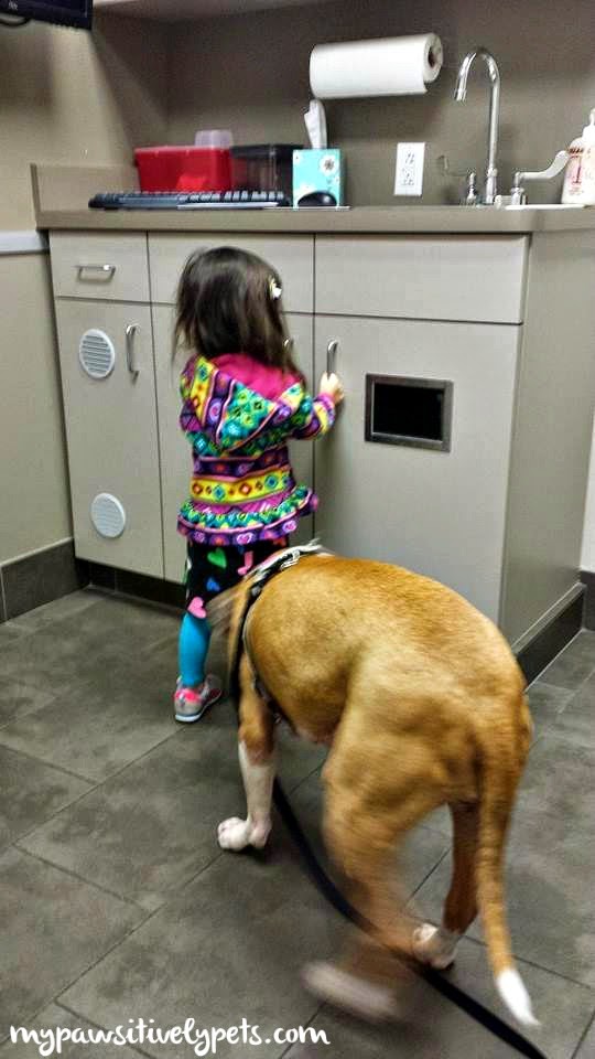 Can I Give A Dog A Muscle Relaxer Can I Give A Dog A Muscle Relaxer