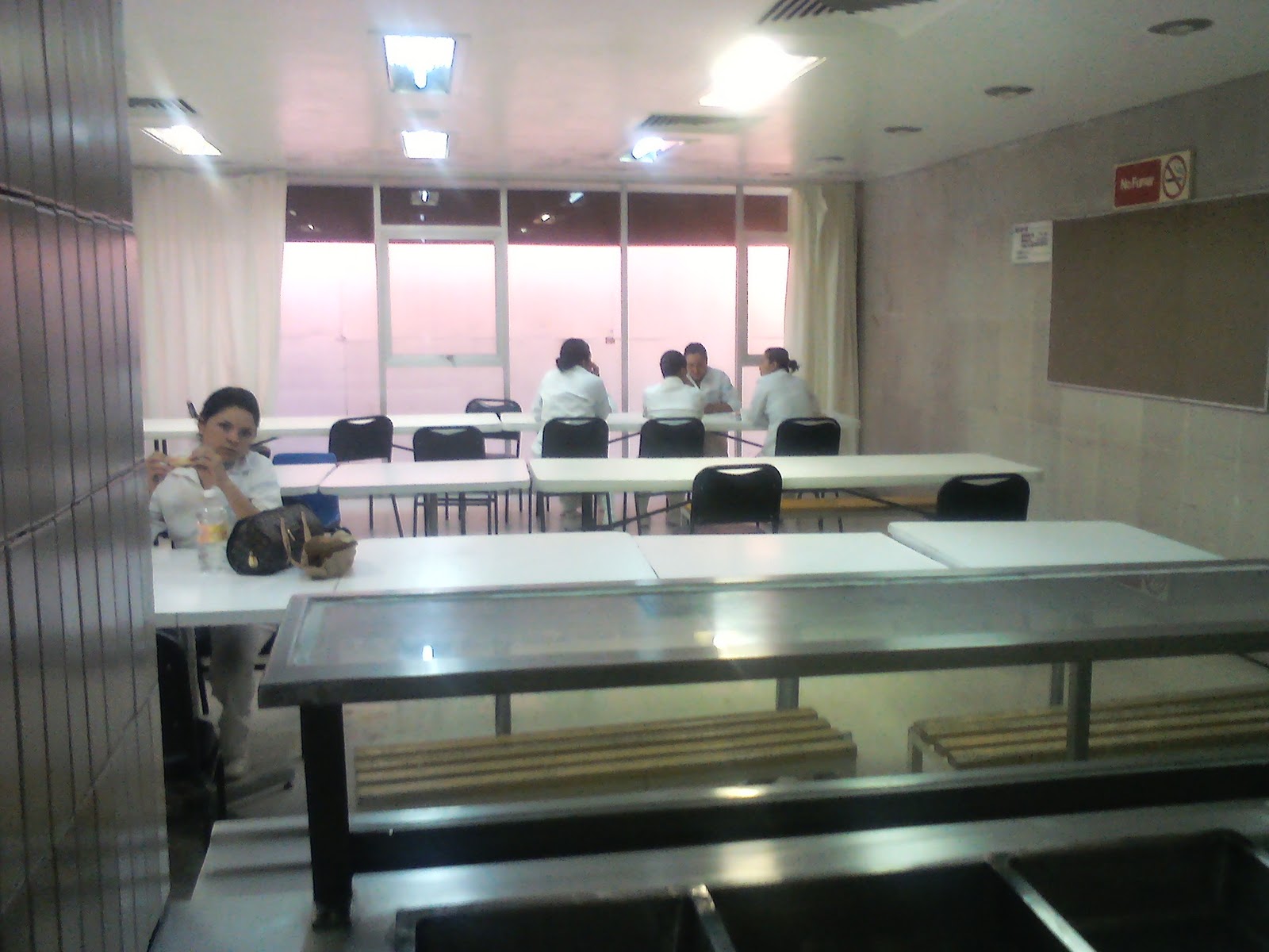 Comedor HGZ #2: Áreas del comedor