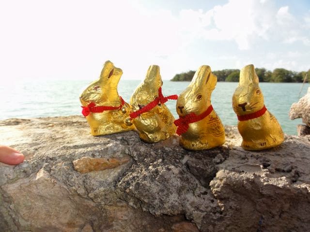 Travel And Explore Germany Blog Archive German American