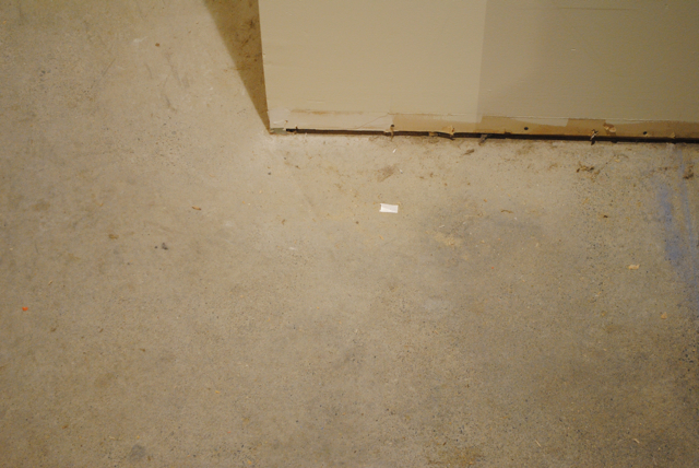 The Little Dog Blog Concrete Floor Refinishing