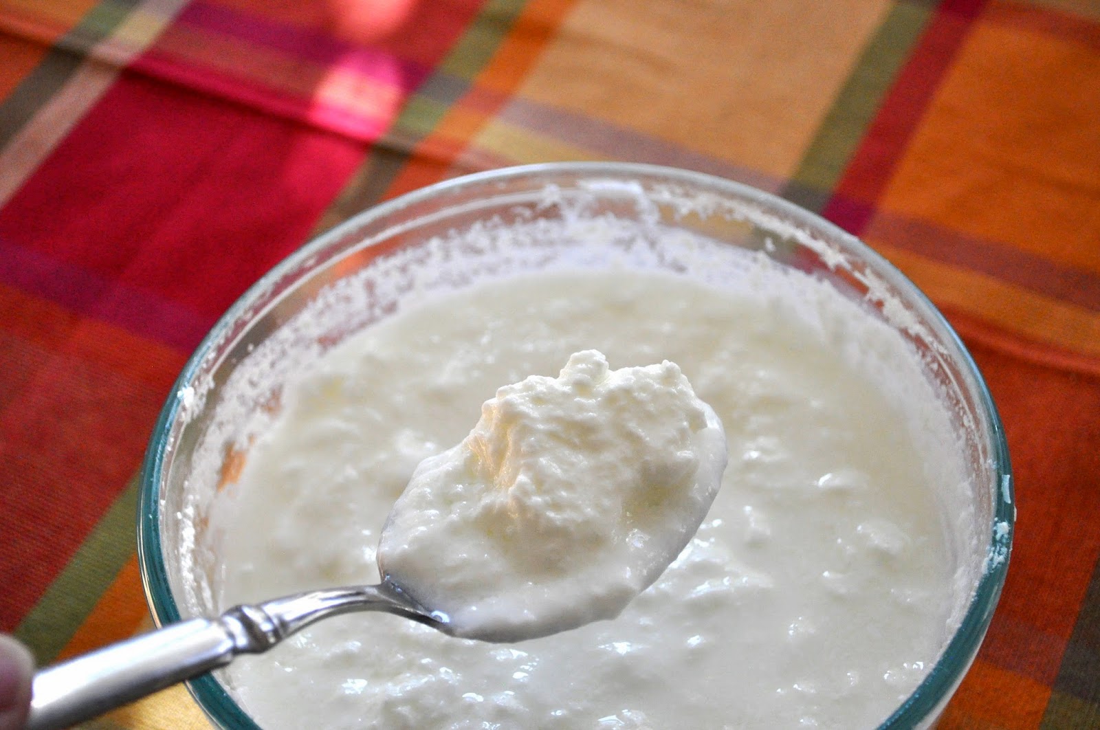 Cooking with Meena Homemade yogurt Indian style