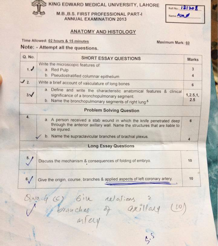 essay questions in anatomy Anatomy evolution worksheet essay and then answer the following questions 9 more about anatomy evolution worksheet essay anatomy intorduction to. essay questions in anatomy Anatomy evolution worksheet essay and then answer the following questions 9 more about anatomy evolution worksheet essay anatomy intorduction to.