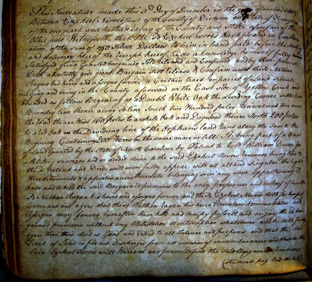 Dissociative amnesia and nathan dickson essay 07 image