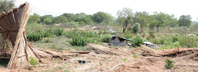 Polícia detém quatro burladores de terrenos na Matola Polícia detém quatro burladores de terrenos na Matola