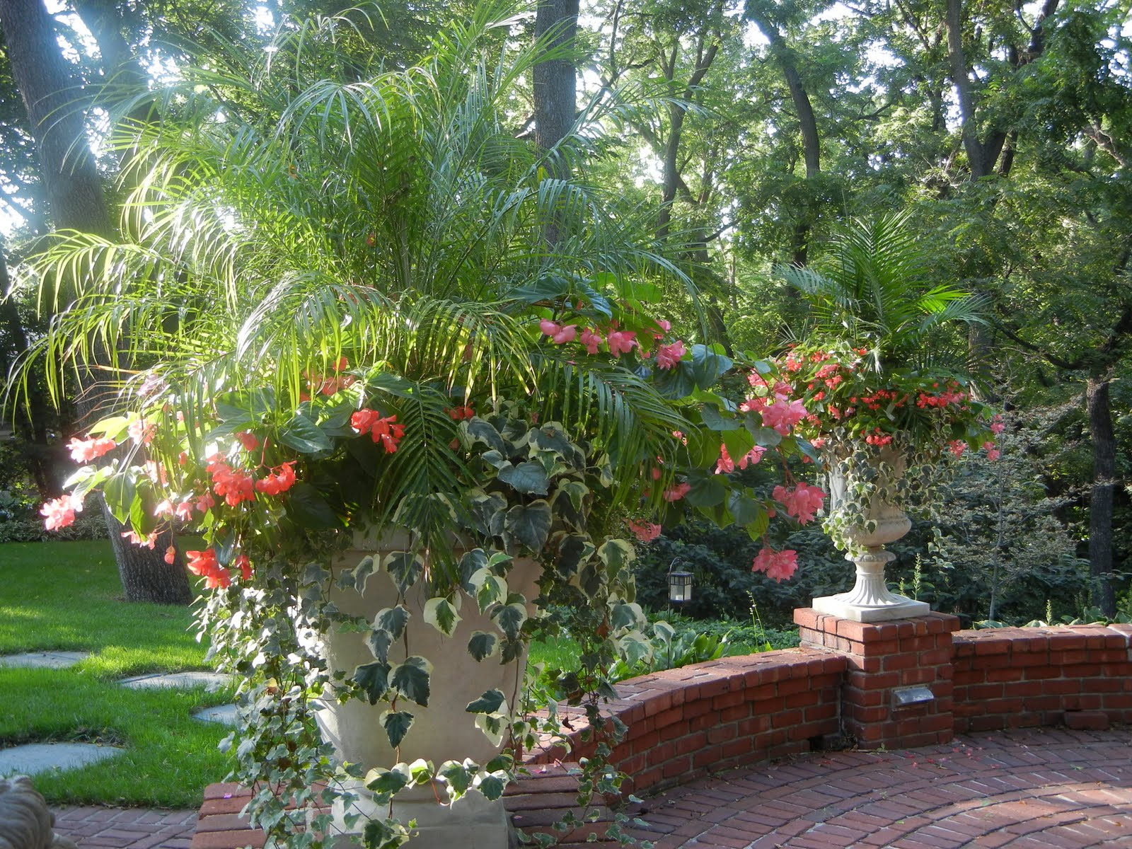 The French Tangerine kelly's garden