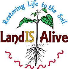 LandIS Alive
