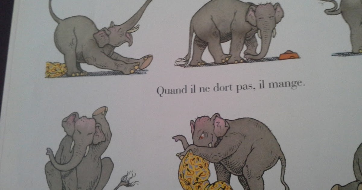 Les lectures de Sanléane: Mon chat le plus bête du monde Les lectures de Sanléane: Mon chat le plus bête du monde