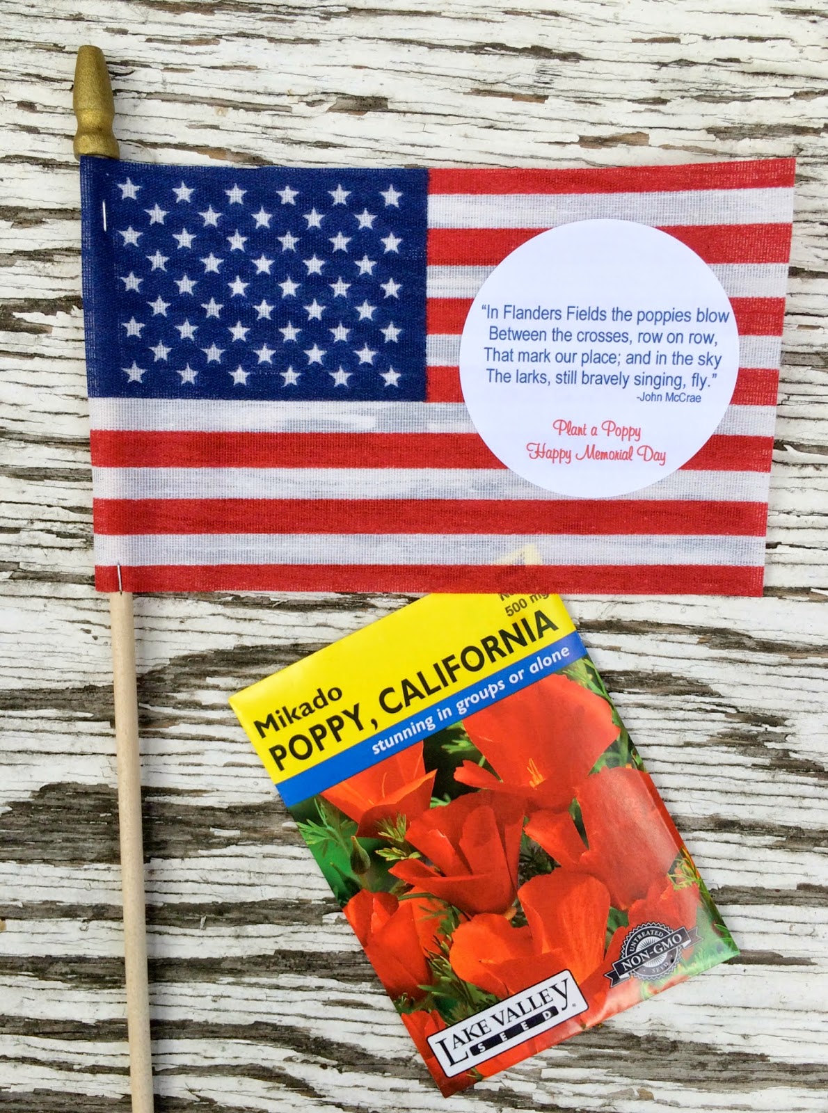 Jac o' lyn Murphy Memorial Day Favors Poignant Party Poppies