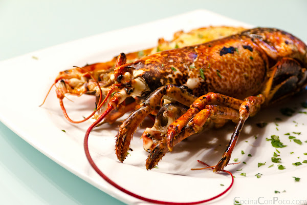 Bogavante a la Plancha - Receta paso a paso Bogavante a la Plancha - Receta paso a paso