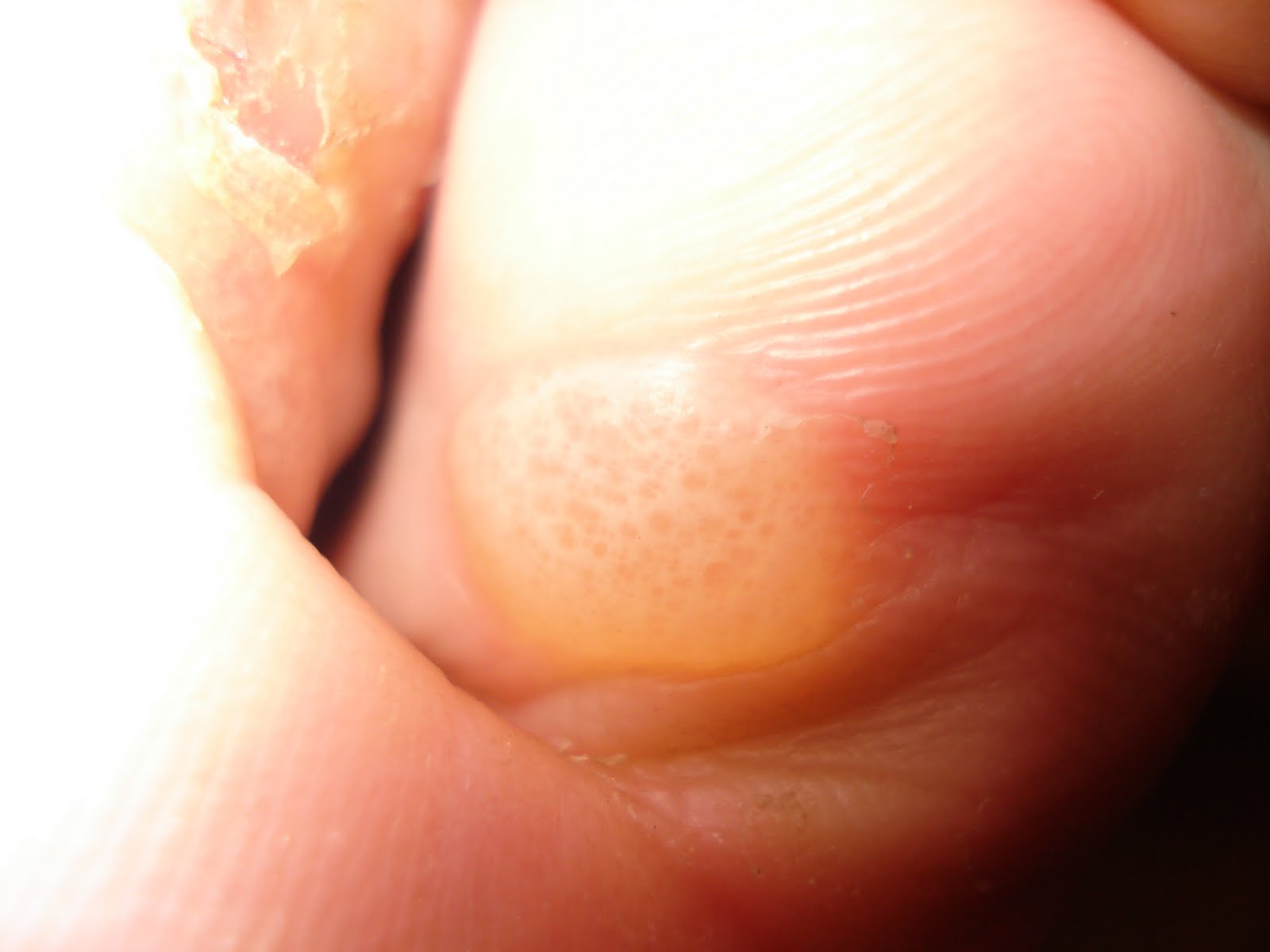 french rencontre conjugation