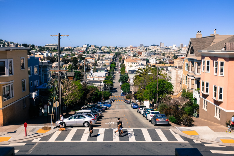 This Week In Noe Valley An Ode To Plant Thieves, Honoring The Mayor of Church Street, And In