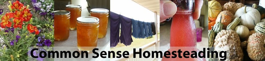 Common Sense Homesteading
