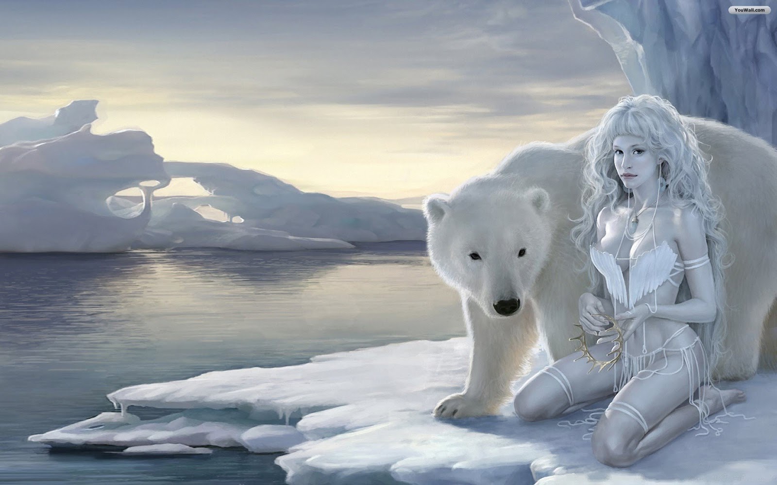 Beautiful Wallpapers: polar bear wallpaper