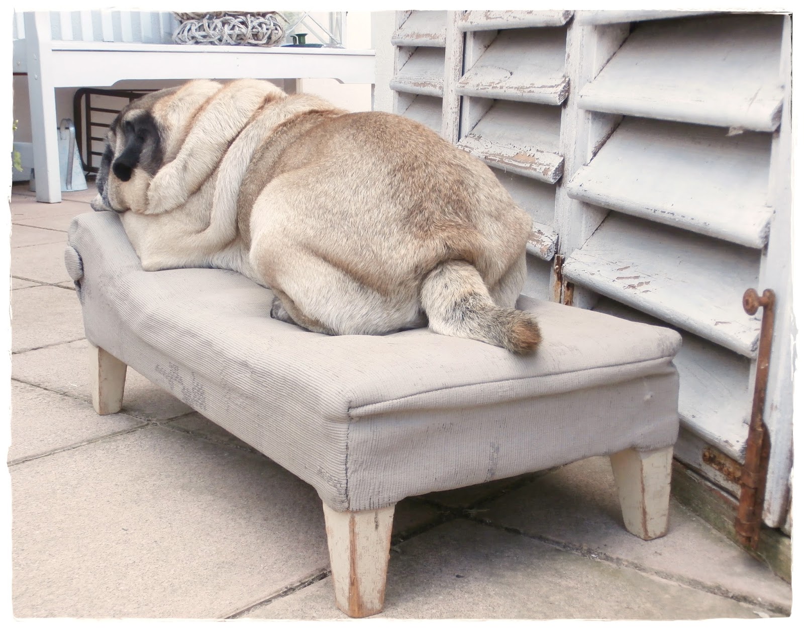 Shabby Landhaus: Eine Chaiselongue.......