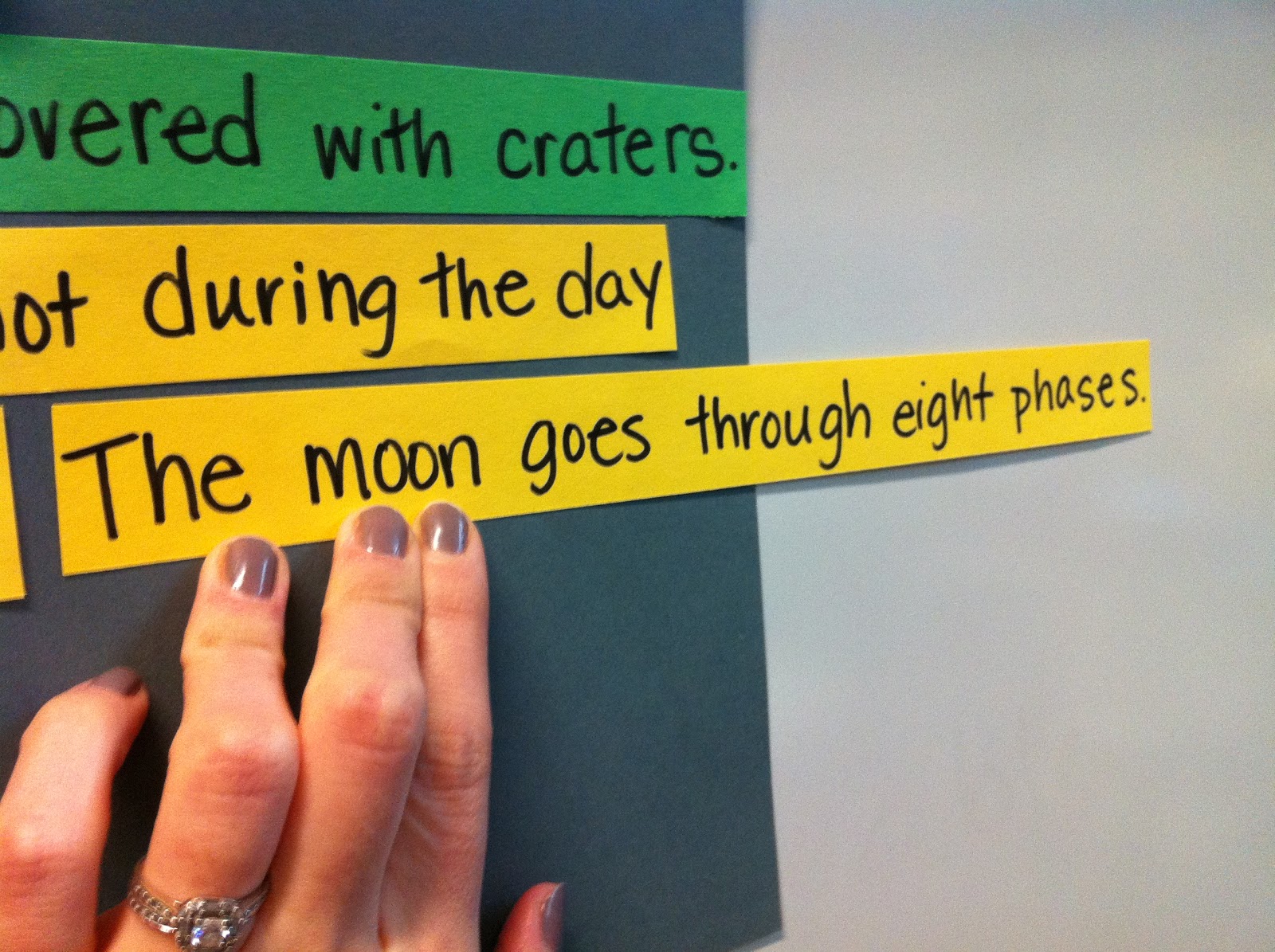 Mrs. Prince and Co. Stoplight Paragraphs