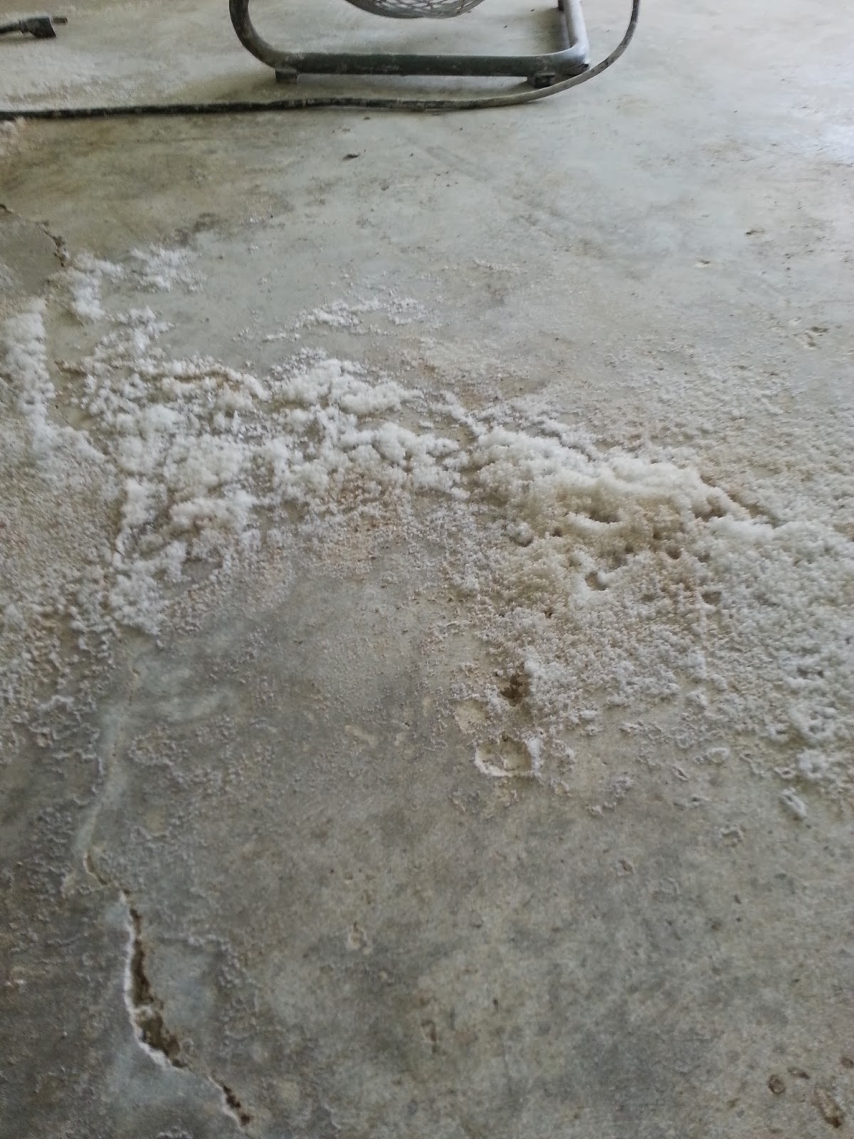 Moisture Vapor Emission in Concrete Slabs Moisture Vapor Emission in