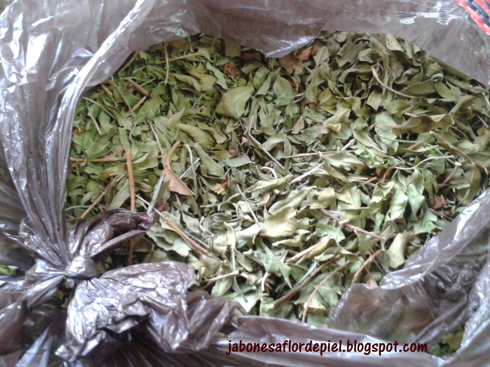 JABONES Y COSMETICA NATURAL QuotA FLOR DE PIELquot Lo Prometido Es JABONES Y COSMETICA NATURAL QuotA FLOR DE PIELquot Lo Prometido Es