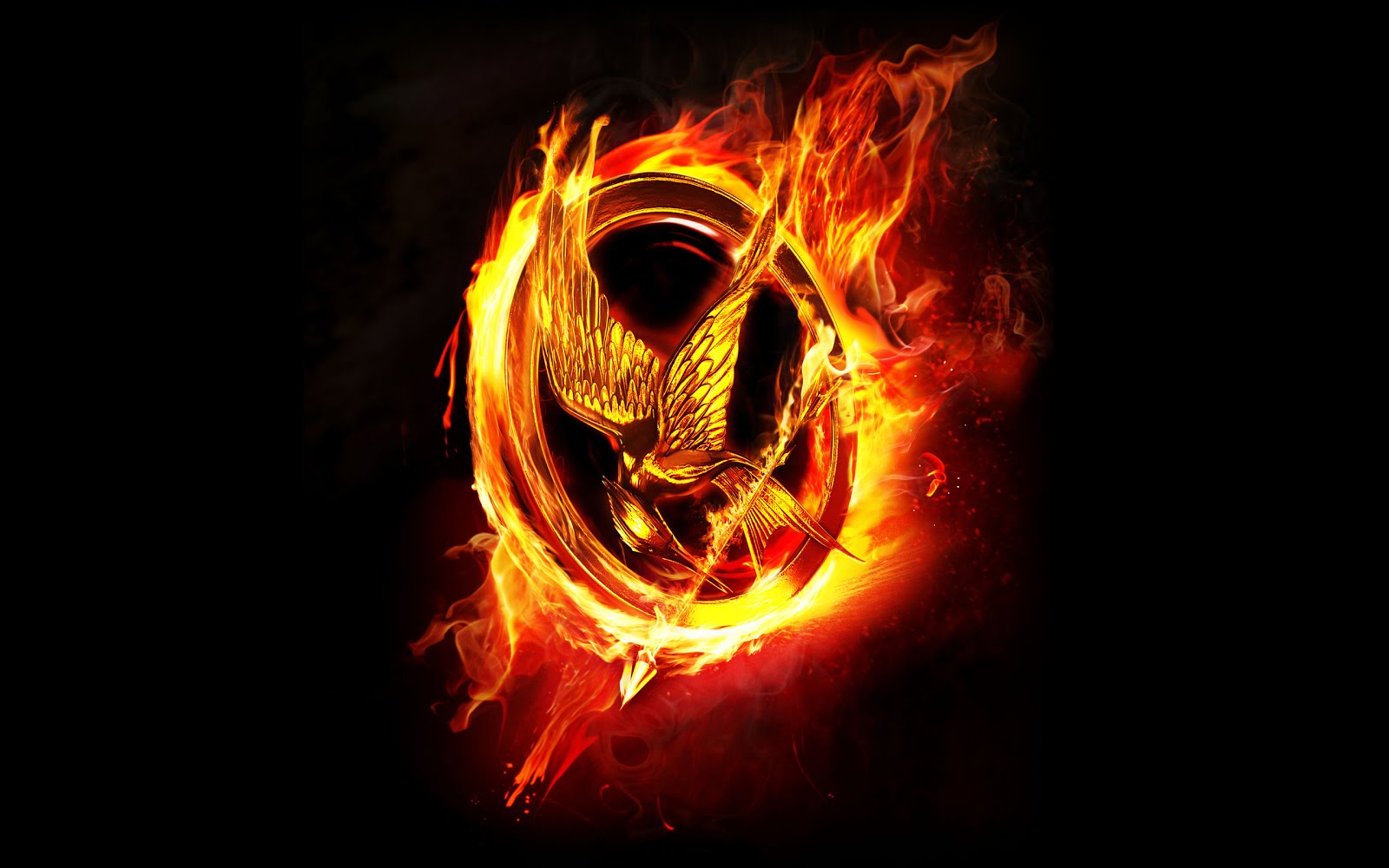I Love The Hunger Games!!!