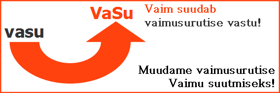 VaSu vs vasu