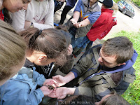Neil Phillips shows children some wildlife