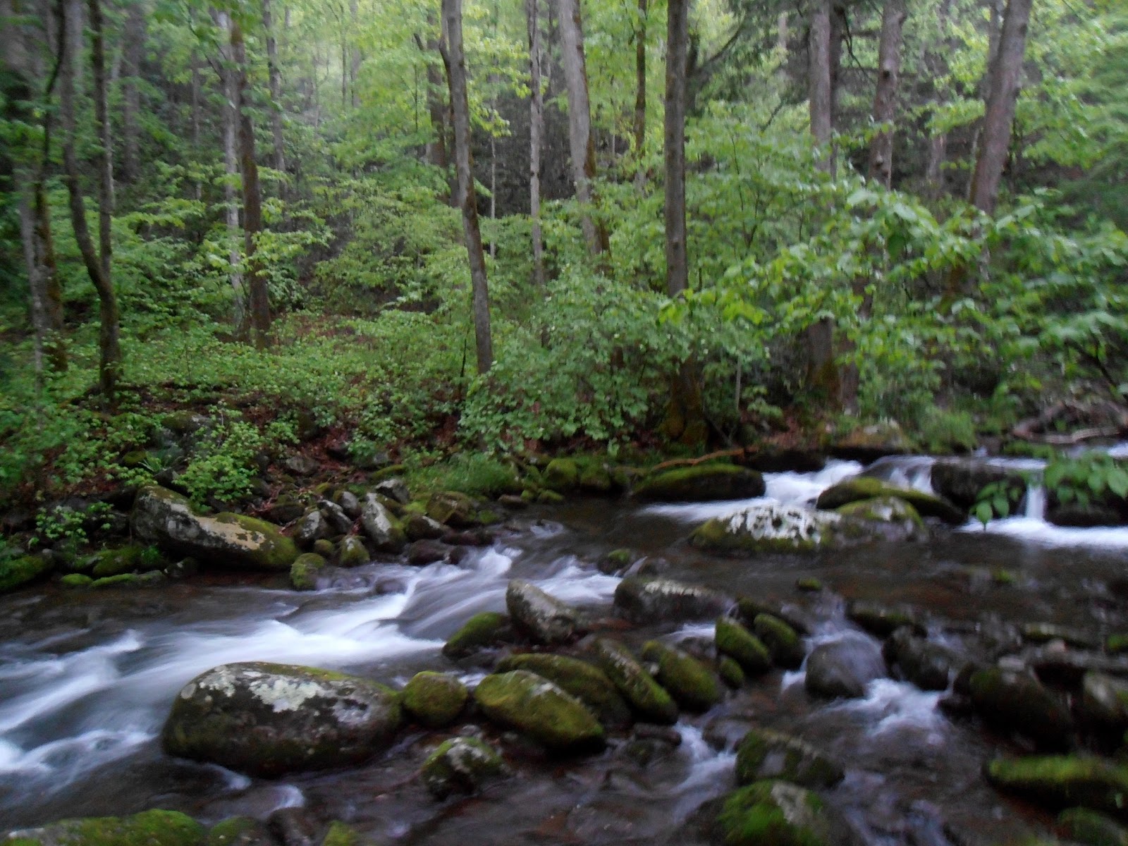 American Travel Journal Roaring Fork Great Smoky Mountains National Park