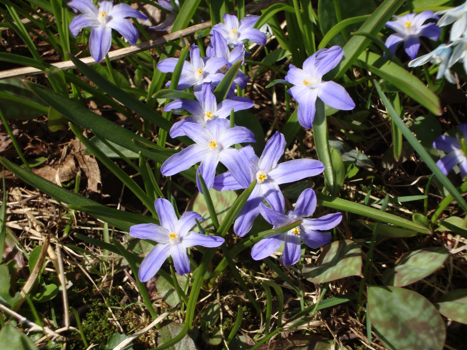 Your First License Over 18