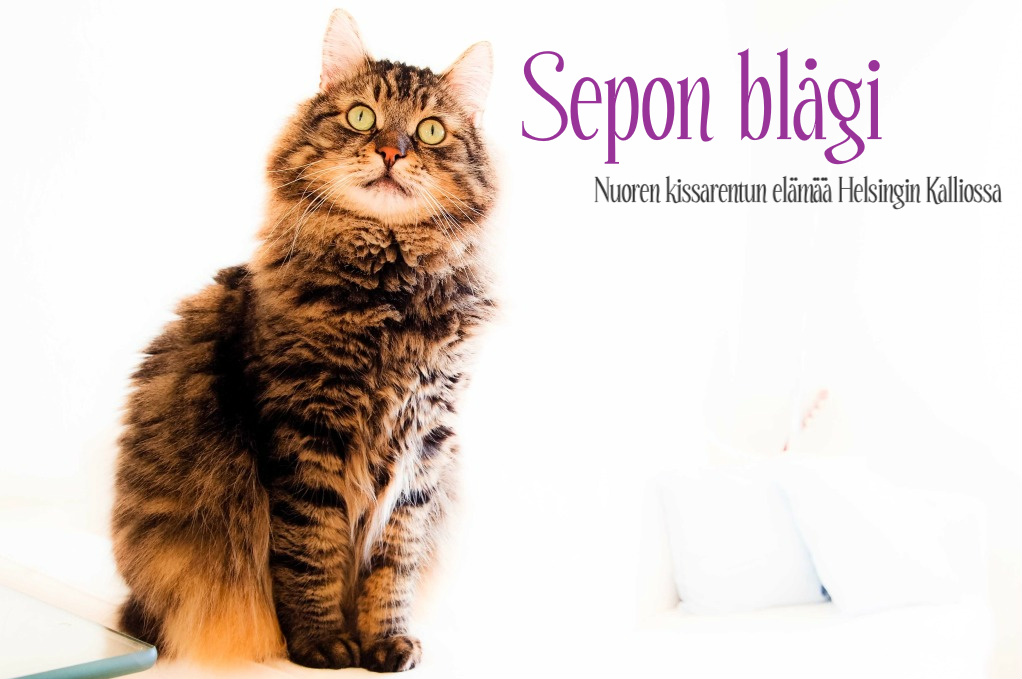 Sepon blågi