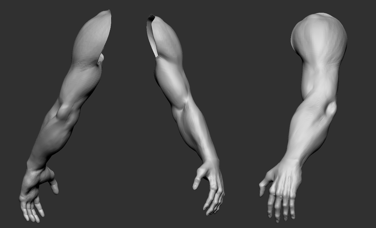 Graphyx Medley Human Male Sculpt (Maya and Zbrush Pipeline)
