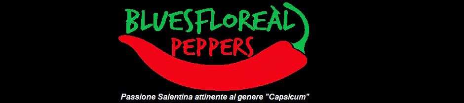 Bluesfloreàl Peppers