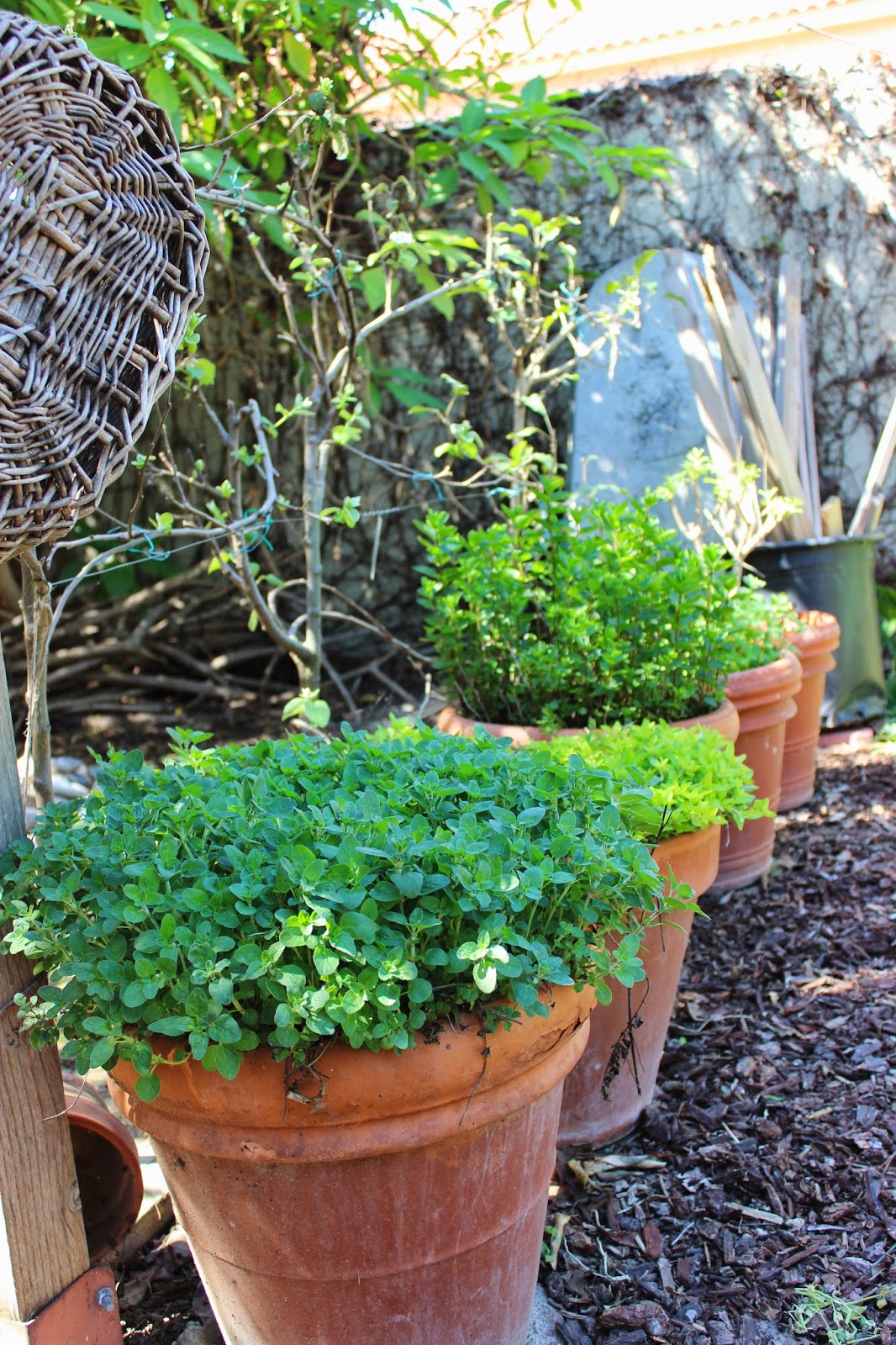 A Very Good Life: So Cal Hort Garden Tour ~ The Pannell- Waters Garden