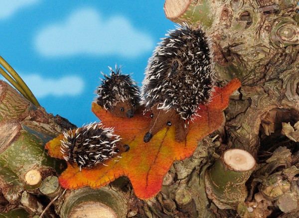 egel weetjes