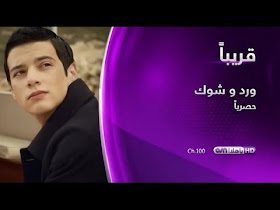 كرسي ذو ذراعين أعمال شغب القومية ورد وشوك مترجم caringforcarersindacorum com