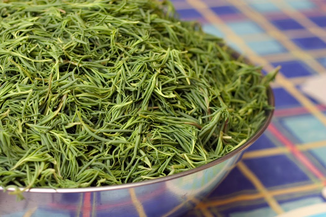 Sacred Rose® Tea Why is Fennel considered the traditional symbol of