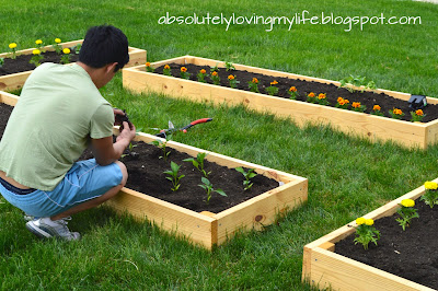 Loving Life: DIY Backyard Raised Garden Beds for Beginners