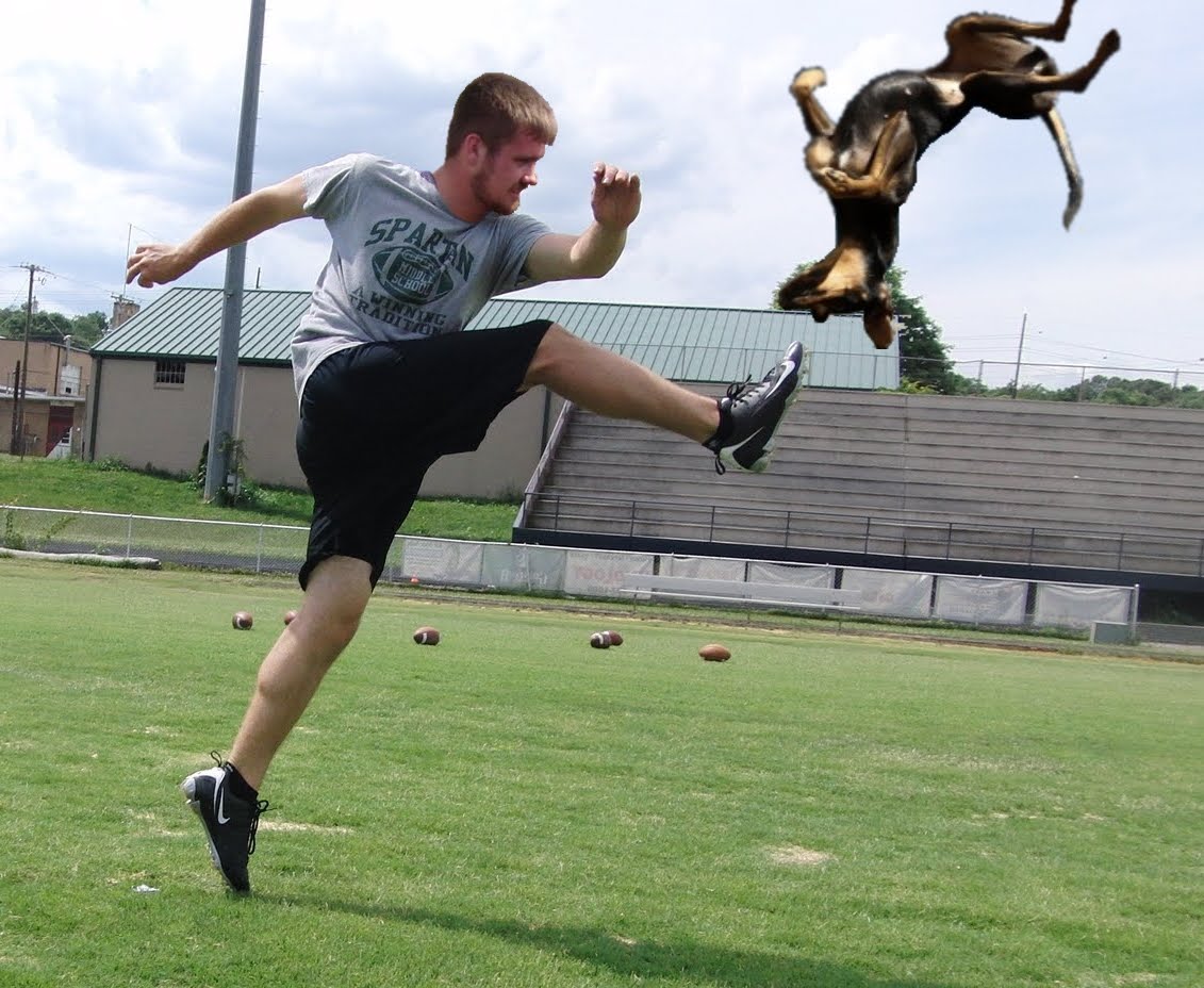 Cropped Pictures: Kicking Dogs